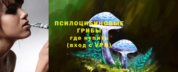 метамфетамин Богданович