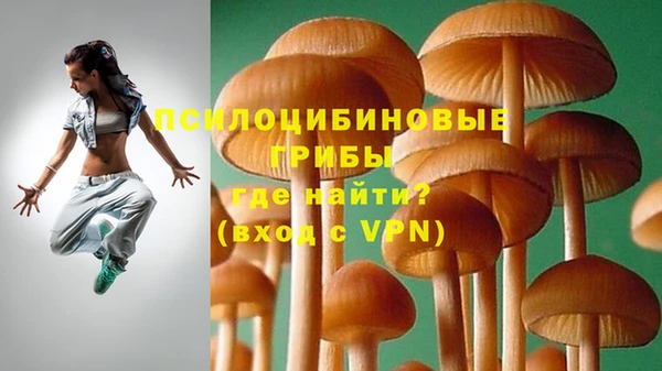 метамфетамин Богданович