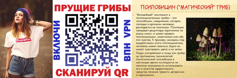 Галлюциногенные грибы мицелий Купить где Себеж